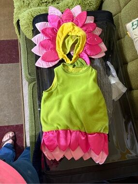 Infant Costume Flower 0-6 Months Target Baby Girl Pink & Green